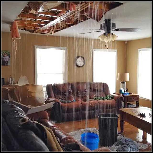 Water Damage Restoration services in Morris Plains, NJ